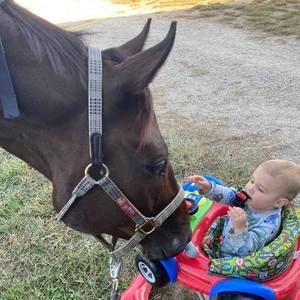 Meet your Posher, Jill